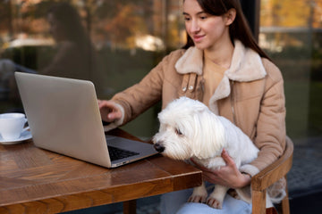 You may know the benefits of 5-Minute Routine for a Pristine Pet Station.