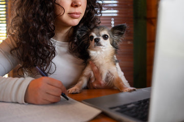 Pet Parent or Interior Designer? How to Have a Home That Does Both.