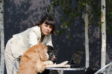 Is Your Pet’s Bowl Making Them Sick? The Hidden Danger Plastic concerning.